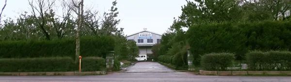 WISE若穗田公司照