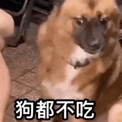 22874_tn52_6353.gif