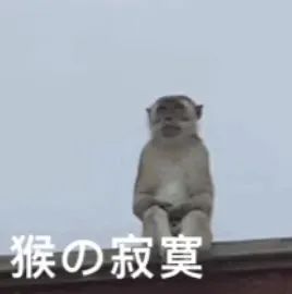 表情包2
