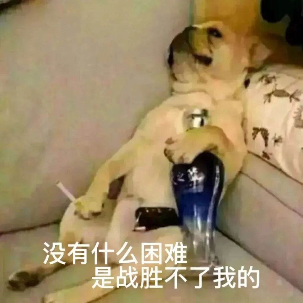 表情包4